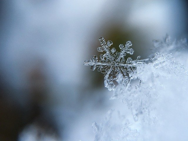 snowflake, płatek śniegu